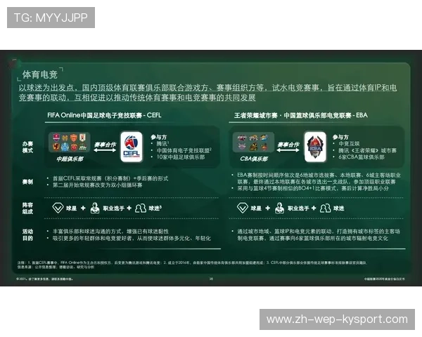 中国足球产业创新推动联赛发展，中国足球产业白皮书