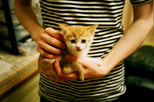 国际热身赛国足迎战 球员磨合成为看点，国足队内热身赛