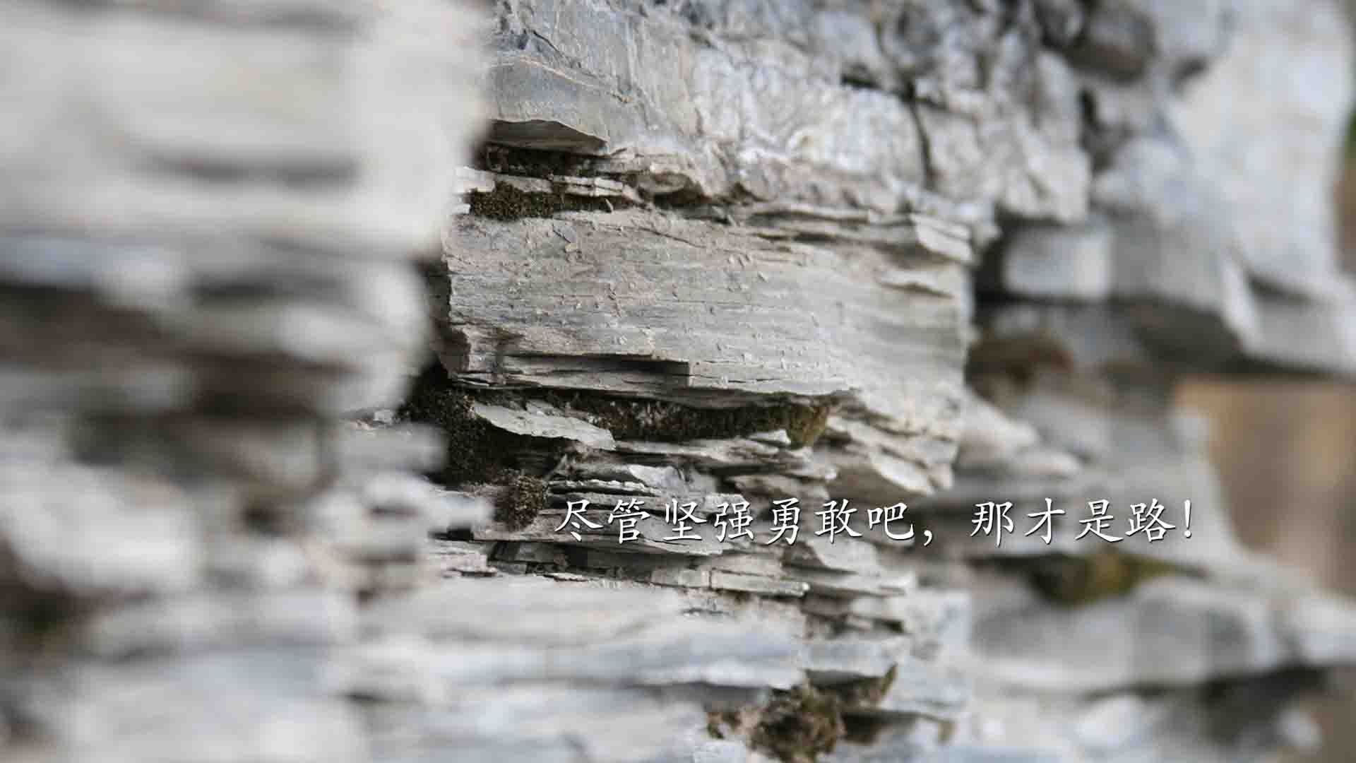 开云体育官网登入-科隆高压逼抢改变比赛走势，科隆 2021