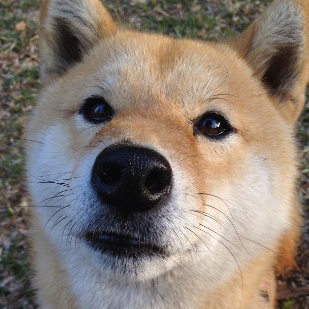 世界杯高光瞬间：经典进球、神级扑救不断！，世界杯精彩十大进球