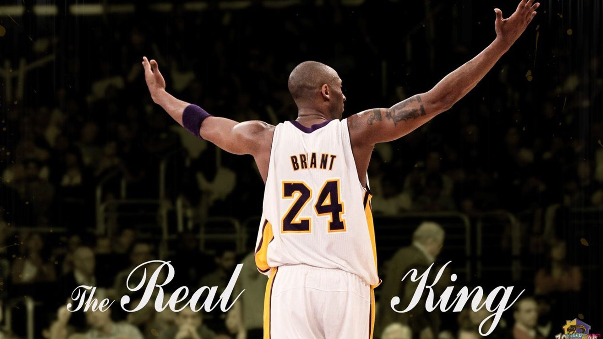 世界杯精彩纷呈:每场比赛都精彩无限!,世界杯最精彩的一场比赛视频